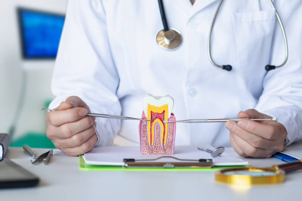 Best Emergency Care for Gum Disease in Oakland, OR